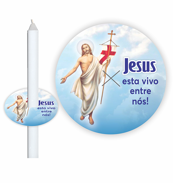 Protetor de Mãos (SS-13)